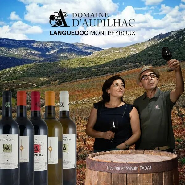 Dégustation vins du Languedoc