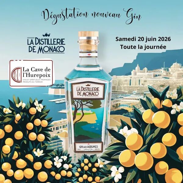 Dégustation nouveau gin